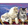 Les Princes des Neiges