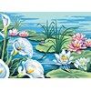 Arums et nymphéas