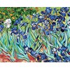 Les iris d'après Van Gogh