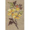 DIAGRAMMES - ROSE ET CLEMATITE