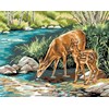 Biche et Faon
