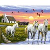 Camargue