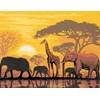 Africa