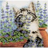 MENTHE DE CHAT