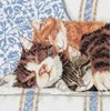 CHATS ET CHATONS - UN PEU DE REPOS