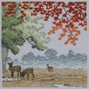 Nara Park