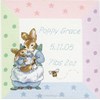Mrs Rabbit Birth Sampler (Printed Border)