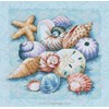shells on blue