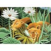 Les lions