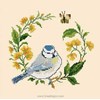 La mésange Bleue