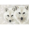 arctic pair by shane dimmick