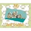 3 Chatons gris