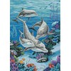 the dolphin's domain