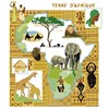 Terre d'Afrique