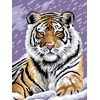 Tigre des neiges