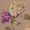 Quiet Time - Hydrangea