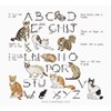 Expressions de Chats