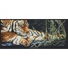 Tigres