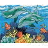 DAUPHINS