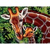 Les girafes
