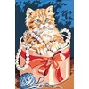 Chaton dans la boite