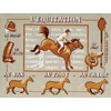 Au pas au trot sur toile aida