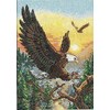 broderie au point de croix Eagles - Dimensions - Dimensions