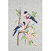 broderie traditionnelle Bullfinches - Anchor - Anchor