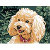 Canevas Caniche - Royal Paris - Royal Paris