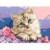 Canevas Chaton - Royal Paris - Royal Paris
