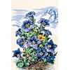 Canevas Fleurs des montagnes - SEG - SEG