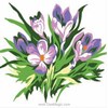 Canevas Fleurs - SEG - SEG