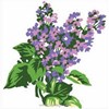 Canevas Fleurs - SEG - SEG