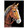 Canevas Le cheval - Royal Paris - Royal Paris