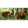 Canevas Les Ours - Luc Création - Luc Création