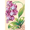 Canevas Orchidées - SEG - SEG