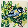 Mésange - SEG - SEG