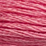 Echevette Mouliné DMC - 3833 - Sorbet fraise Echevette Mouliné DMC - 3833 - Sorbet fraise