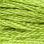Echevette Mouliné DMC - 907 - Granny smith Echevette Mouliné DMC - 907 - Granny smith