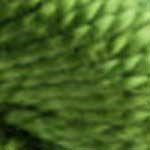 Fils Perle DMC - 3346 - Vert du Tyrol Fils Perle DMC - 3346 - Vert du Tyrol