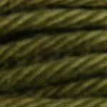 Fils Retors DMC - 2012 - Vert mousse chêne Fils Retors DMC - 2012 - Vert mousse chêne