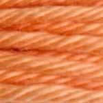 Fils Retors DMC - 2160 - Epices Fils Retors DMC - 2160 - Epices