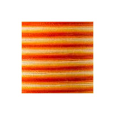 51 51