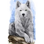 Kit broderie diamant loup blanc sur le rocher de Wizardi