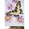 Kit chemin de table à broder au point de croix compté papillons et fleurs - Vervaco