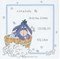 Anchor kit point de croix eeyore birth sampler