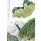 Livre - La peinture chinoise - debuter en pas a pas - Librairie Créative
