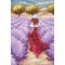 Broderie Paysages - Lavande en provence - Vervaco
