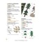 Livre - Magic patch n° 147 - quilts douillets - 18 quilts inedits - Librairie Créative