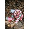 Kit coussin chaussette de noël - eva m de Vervaco au point de croix